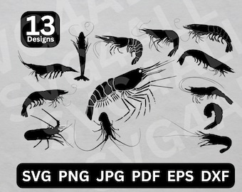 Shrimp SVG, Shrimp SVG Bundle, Shrimp SVG files, Shrimp Cut File, Shrimp Clipart, Shrimp Cricut, Shrimp silhouette, Shrimp png