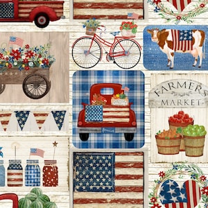 3Wishes 18699 Hometown America