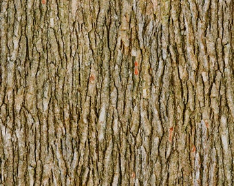 QT Fabric Open Air Bark Fabric 28112 SK