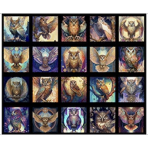 Op de afbeelding: Een kleurrijke collage van 20 uilenillustraties. Elke uil is afgebeeld in een andere pose en met unieke kleuren en patronen. De uilen zijn geplaatst tegen een zwarte achtergrond.