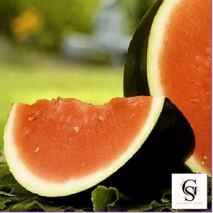Sugar Baby Watermelon Seeds - NON-GMO Heirloom Melon - Sweet Red Fruit – Easy to Grow Garden Seeds for Summer, Spring & Fall