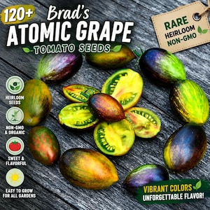 120+ Brad's Atomic Grape Tomato Seeds | Rare Heirloom Organic Vegetable Seed | Sweet Colorful Cherry Tomato Garden
