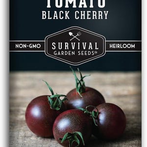 Black Cherry Tomato Seeds – Non-GMO Heirloom Cherry Tomatoes