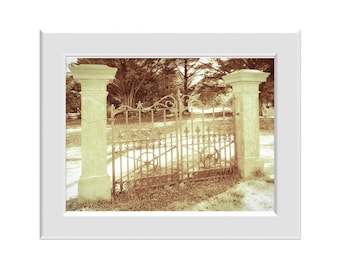 Digital Photo - Gate - Taylor Park Torquay - Victoria Australia
