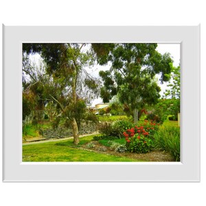 Digital Photo - Native Garden - Victoria Australia