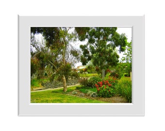 Digital Photo - Native Garden - Victoria Australia