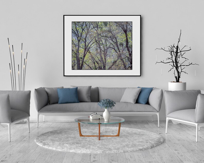 Tree wall art print tree photography nature photography fine art photography modern stretched canvas farmhouse art nature tree art print