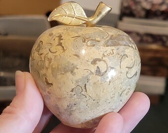 Fossil Coral APPLE, Teacher Gifts, Crystals, Natural, Wiccan, Pagan, Gift Box