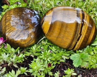 Tiger Eye Palm Stones - Gift for Mom Daughter Friend Guy Gift