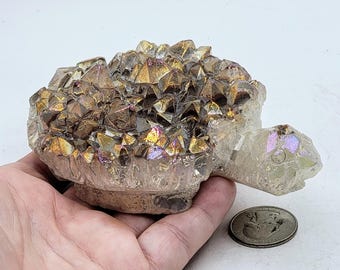 Aura Quartz Turtle Hand Carved Mom Daughter Gift