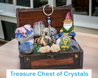 Gnome & Mushroom Treasure Chest of Crystals Birthday Gift for Best Friend Rocks and Minerals Gift Box