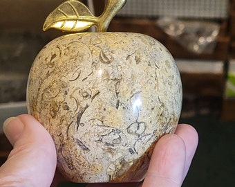 Fossil Coral APPLE, Teacher Gifts, Crystals, Natural, Wiccan, Pagan, Gift Box