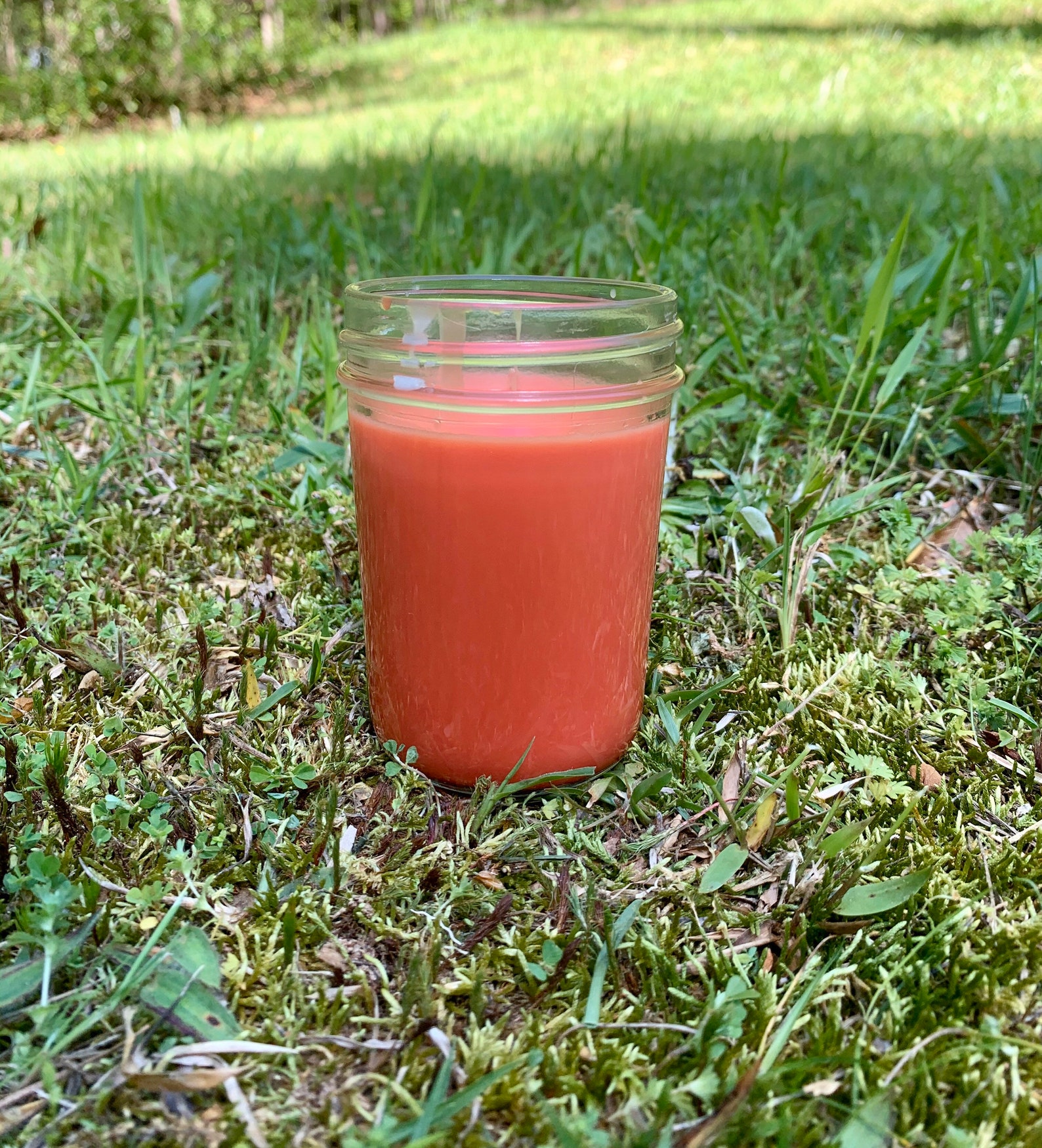 Watermelon Lemonade Candle/ Fruity Scented Candle/ Lemon Etsy