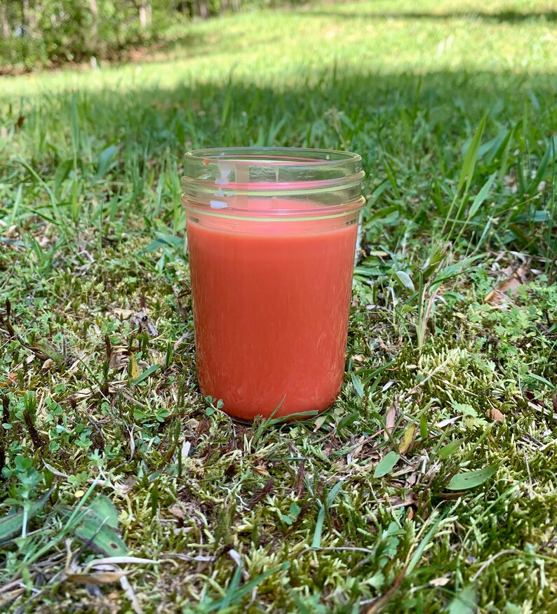 Watermelon Lemonade Candle/ Fruity Scented Candle/ Lemon Etsy