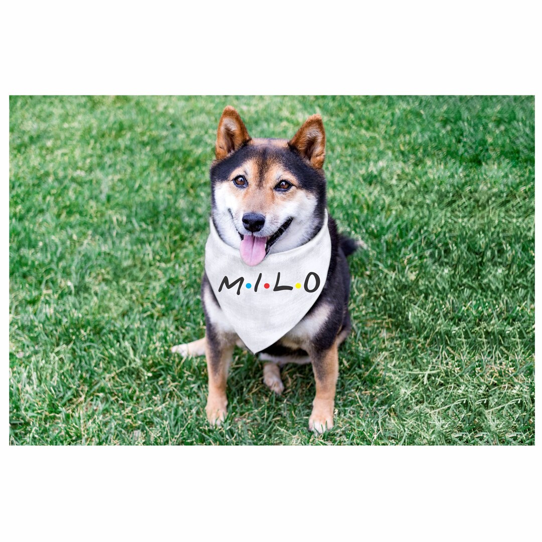 Custom Dog Bandana, Personalized Dog Bandana, Dog Bandana with your Dog