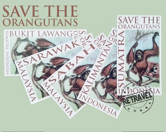 ORANGUTAN Fridge Magnet, Orangutans, Sabah Sarawak Borneo, Orangutan Art, Save Orangutan, Kalimantan, Sumatra Indonesia, Orangutan Gift