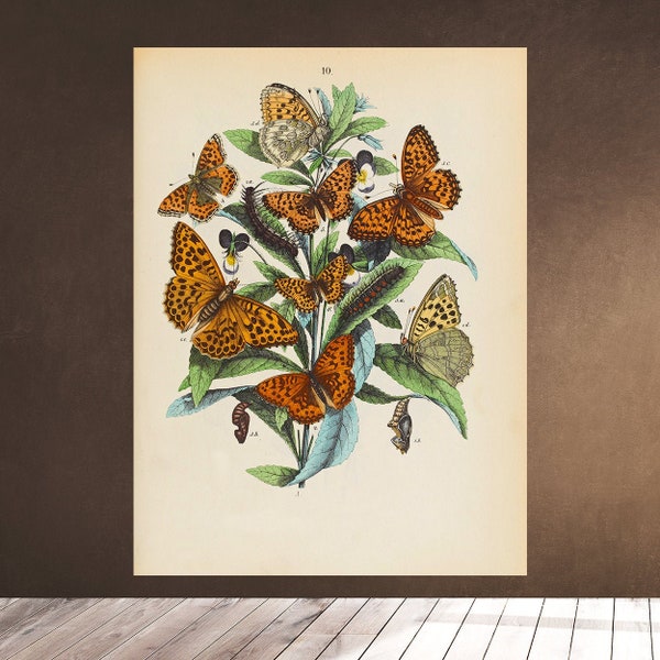 BUTTERFLIES LEPIDOPTERA Silver-washed fritillary - High brown - Dark Green Wall Art Decor Print - Instant Download - Downloadable Printable