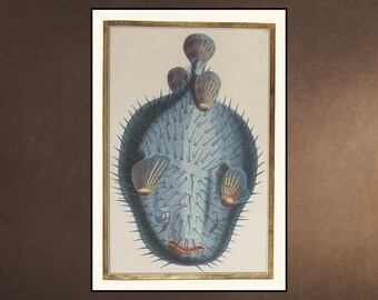 Pufferfish 18th century French manuscript hand drawn and coloured - Blue Print - Digital Download Vintage Old Print - Downloadable Printable