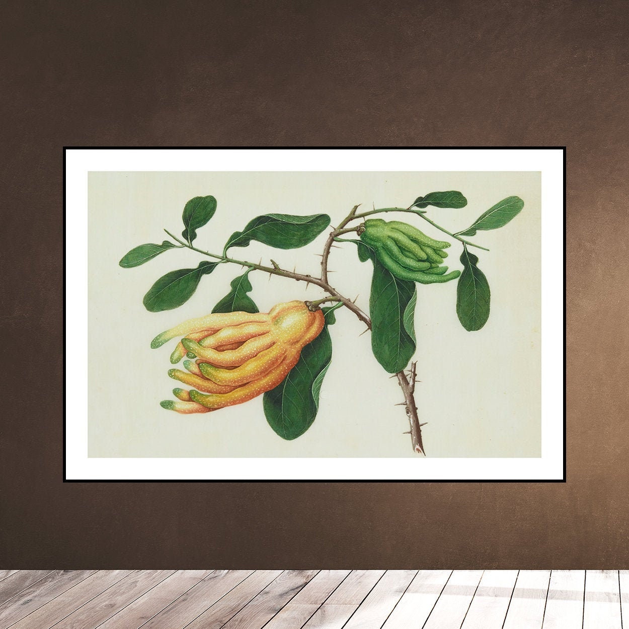 【♥︎】置物アイボリーフルーツベイビーブッダロタスベースシャカムニハンドル Buddha hand fruit - Etsy 日本