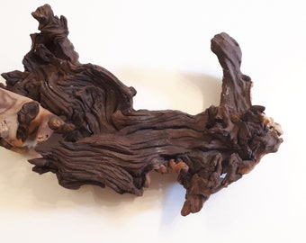 Beautiful Gnarled Wood - Home Decor