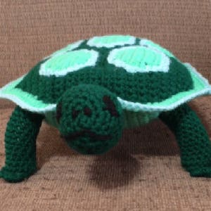 Pode incluir: Um brinquedo de tartaruga verde de crochê com uma casca verde claro e olhos pretos. A tartaruga está sentada em uma superfície marrom.
