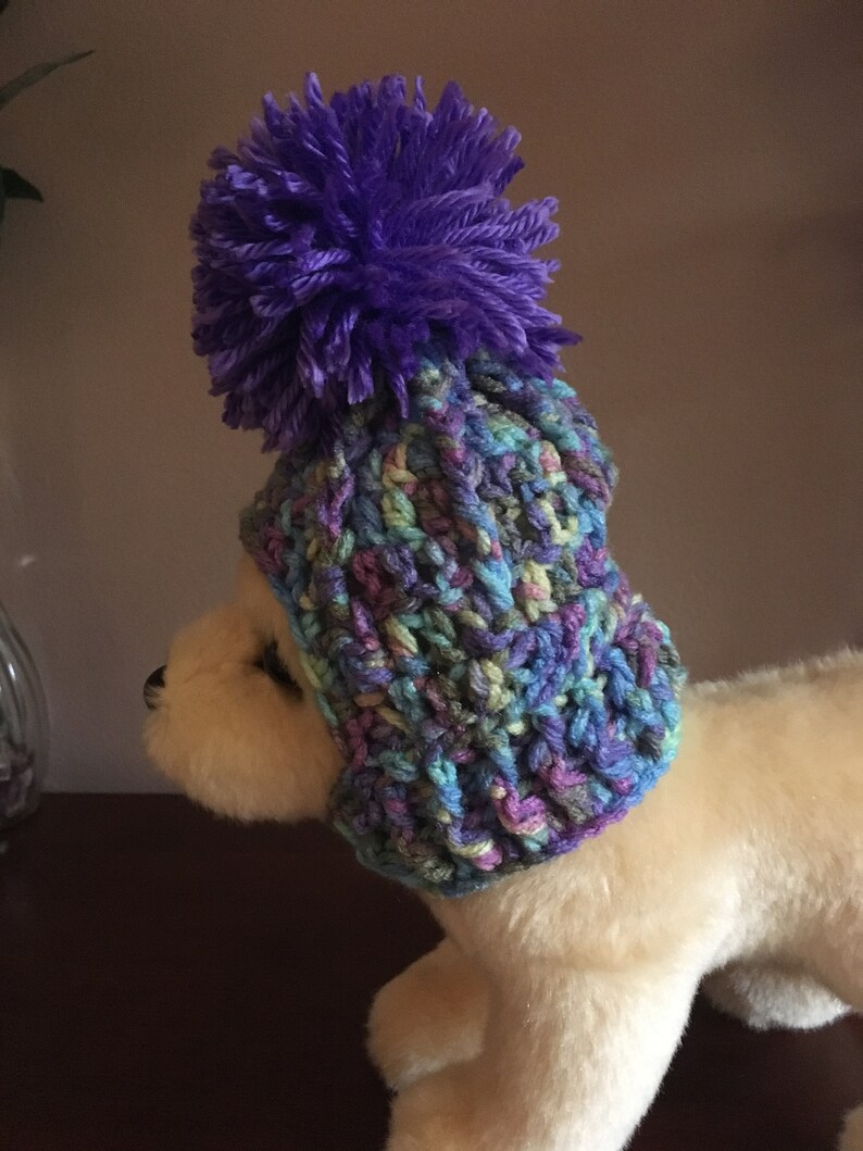 Chihuahua Hat Crochet Dog Hats Small Dog Hats Dog Hats Etsy