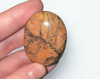 Flamingo Jasper Palm Stone