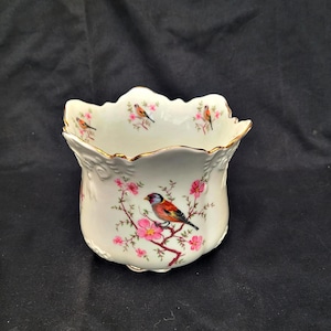 Vintage Bronsnic planter bone china flower pot cover ornate  Bird Cachepot