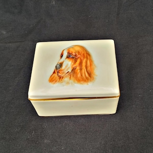 May include: A rectangular off-white ceramic trinket box featuring a detailed illustration of a brown and white spaniel dog on the lid. The box has a smooth, glossy finish and a thin gold-colored metallic trim along the edge where the lid meets the base.