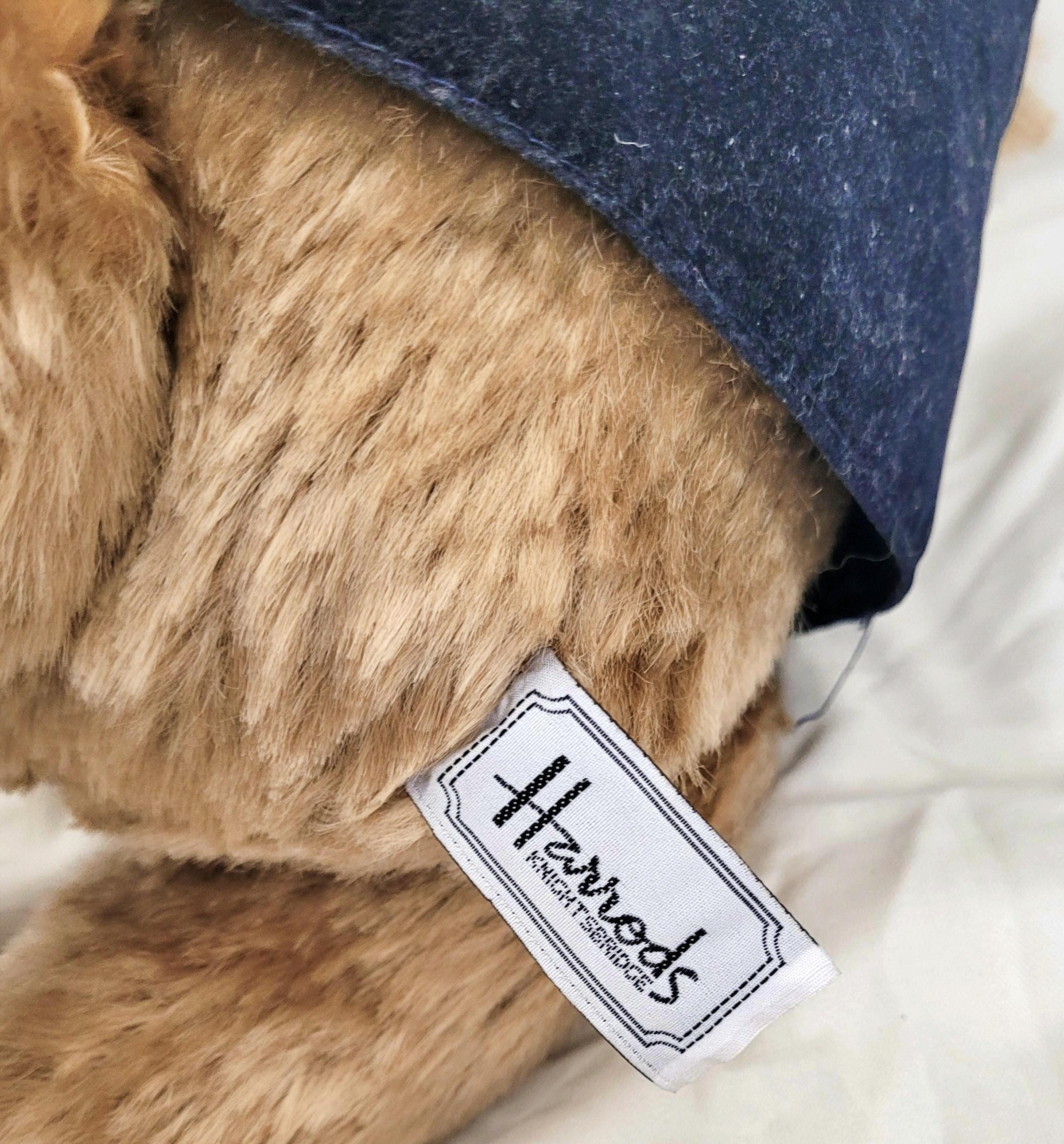 Harrods Millennium 2000 Bear: Limited Edition Collectors Teddy