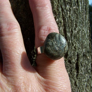 May include: A silver ring with a dark green and gray stone. The stone has a unique pattern and is set in a simple band.