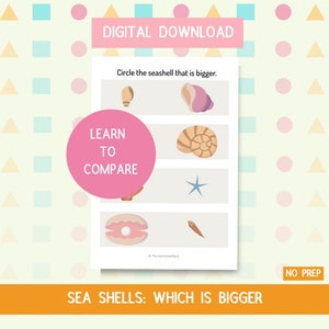 Cuál es conchas marinas más grandes- Hoja de trabajo de comparación de descarga digital Hoja de trabajo de jardín de infantes preescolar Hoja de trabajo de educación en el hogar Carpeta de libros ocupados