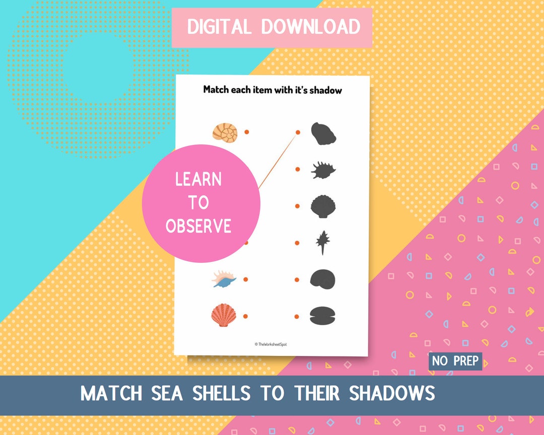 Shell Match Memory Game Match Items and Shadows Sea Shells Noprep Digital Download Matching ...