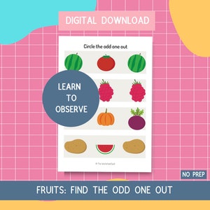 May include: A printable worksheet with the text "Circle the odd one out" and four rows of images. The first row shows a watermelon, a tomato, and a watermelon. The second row shows three raspberries. The third row shows a pumpkin and a beet. The fourth row shows a potato, a watermelon, and a potato. The text "LEARN TO OBSERVE" is in a blue circle. The text "FRUITS: FIND THE ODD ONE OUT" is at the bottom of the page. The text "NO PREP" is in the bottom right corner.