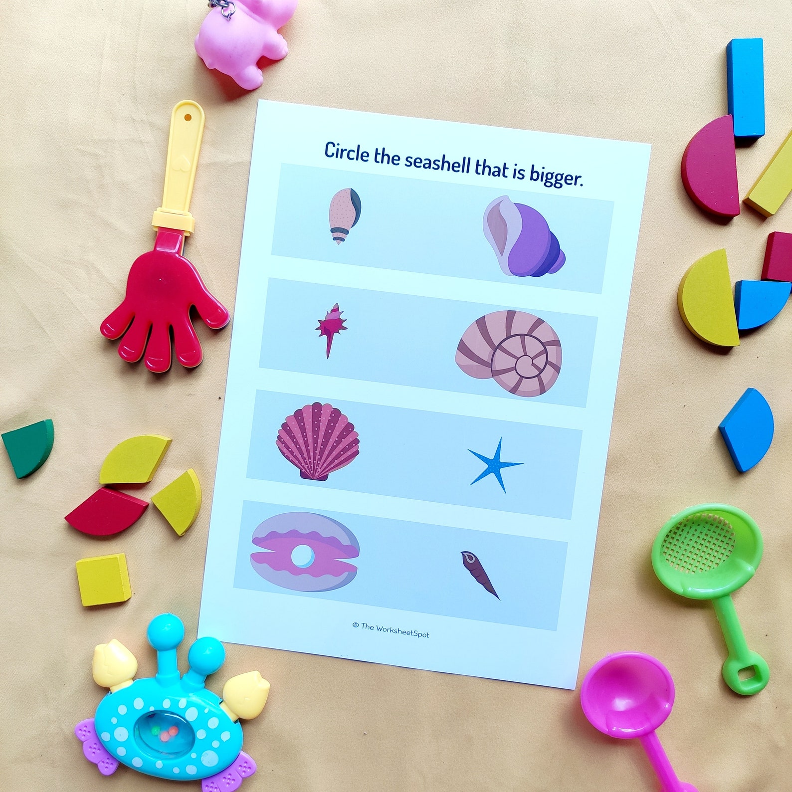 Which is Bigger-sea Shells- Digital Download Comparison Worksheet ...