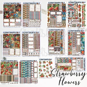 Kit di adesivi con fiori di fragola / Kit di adesivi decorativi per diario di una pagina / Adesivo pianificatore di pianificazione