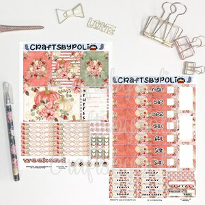 Kit de pegatinas de calabaza floral / Kit de pegatinas Hobonichi Weeks Cousin A6 / Pegatina del planificador de planificación
