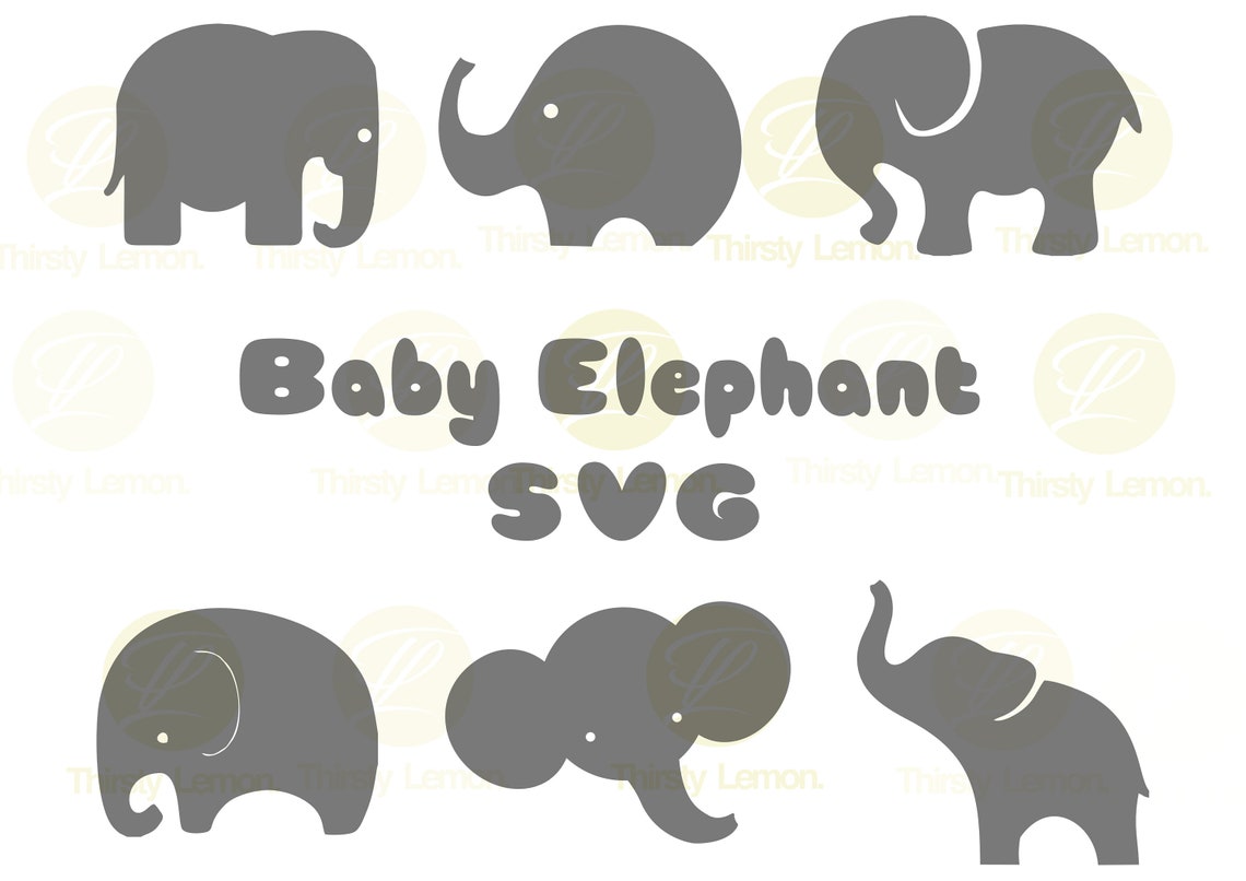 Cute Baby Elephant SVG Bundle, Elephant SVG, Baby Elephant Clipart, Cut
