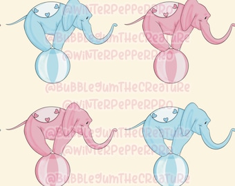 Patrón de elefante de circo