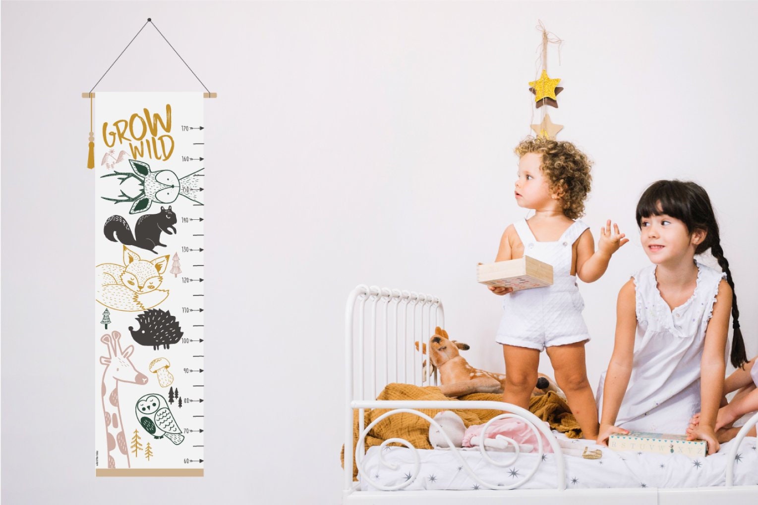 Graphique de Croissance, Graphique Croissance Toile, Diagramme Hauteur, Ruller Décor Pépinière, Bois