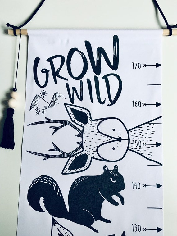 Chinchilla Growth Chart