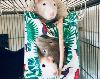 pet rat toys