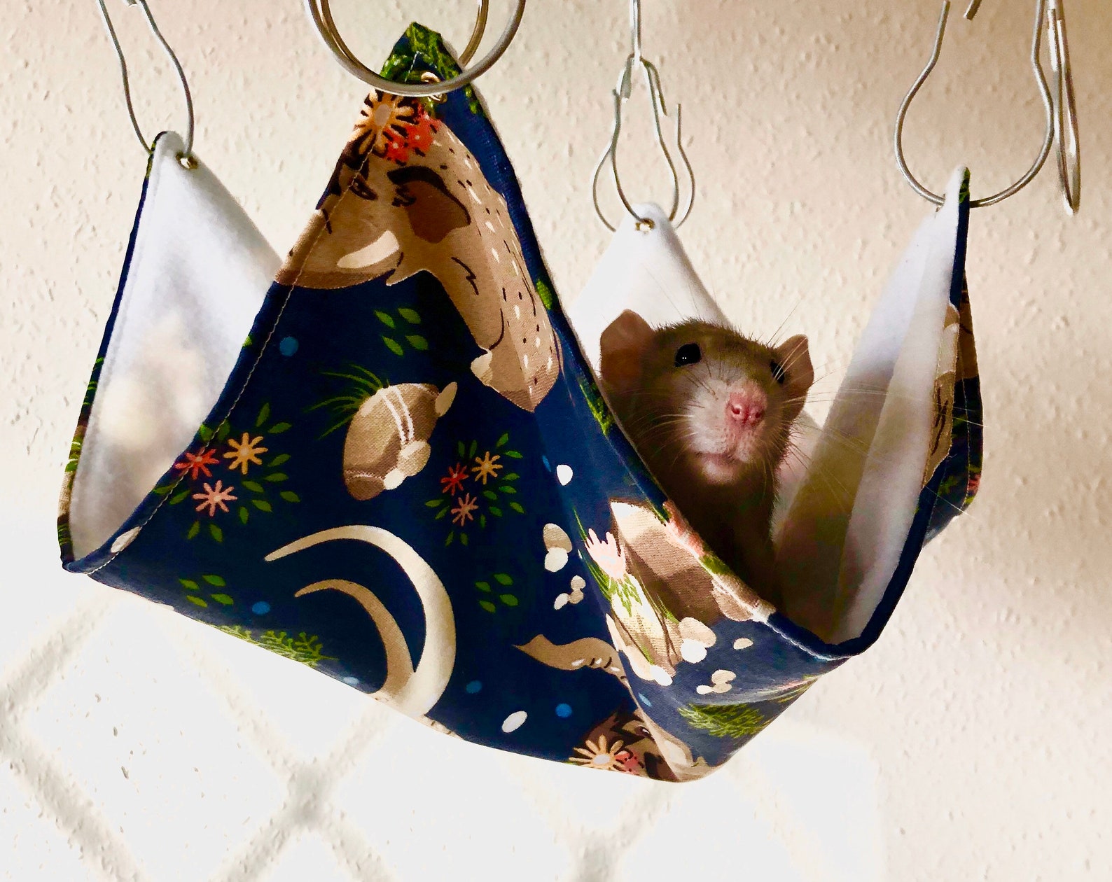 Mammoth Rat Hammock Rat Bed Rat Hammocks Rat Hammock Set Etsy