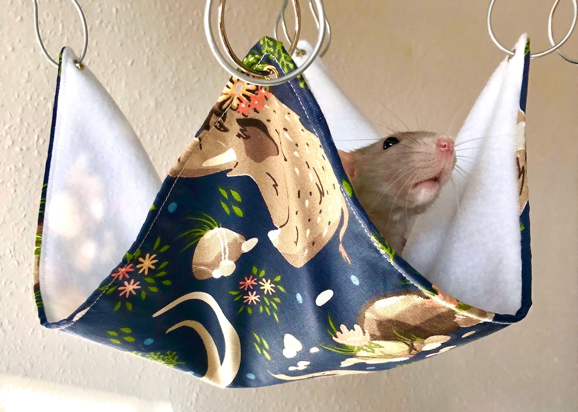 Mammoth Rat Hammock Rat Bed Rat Hammocks Rat Hammock Set Etsy