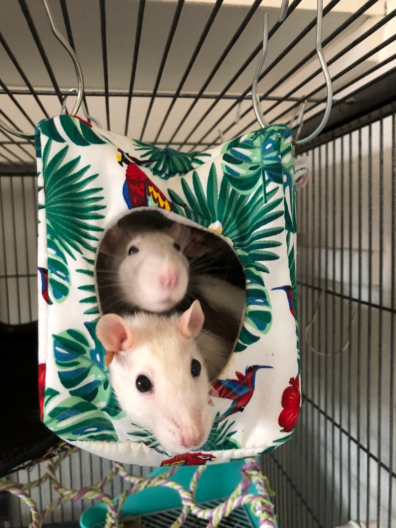 Rat Hammock Rat Cube Rat Cage Accessories Rat Toys Rat Etsy