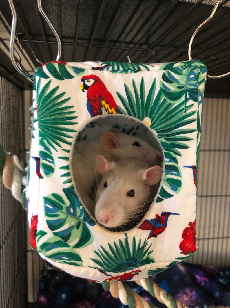 Rat Hammock Rat Cube Rat Cage Accessories Rat Toys Rat Etsy