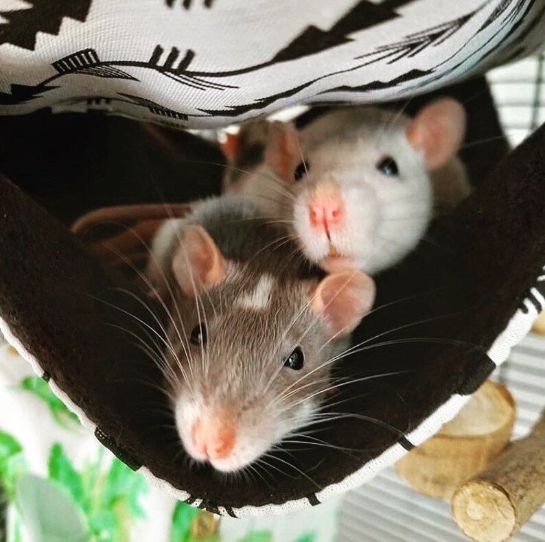 halloween rat cage decorations