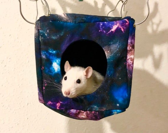 pet rat hammock