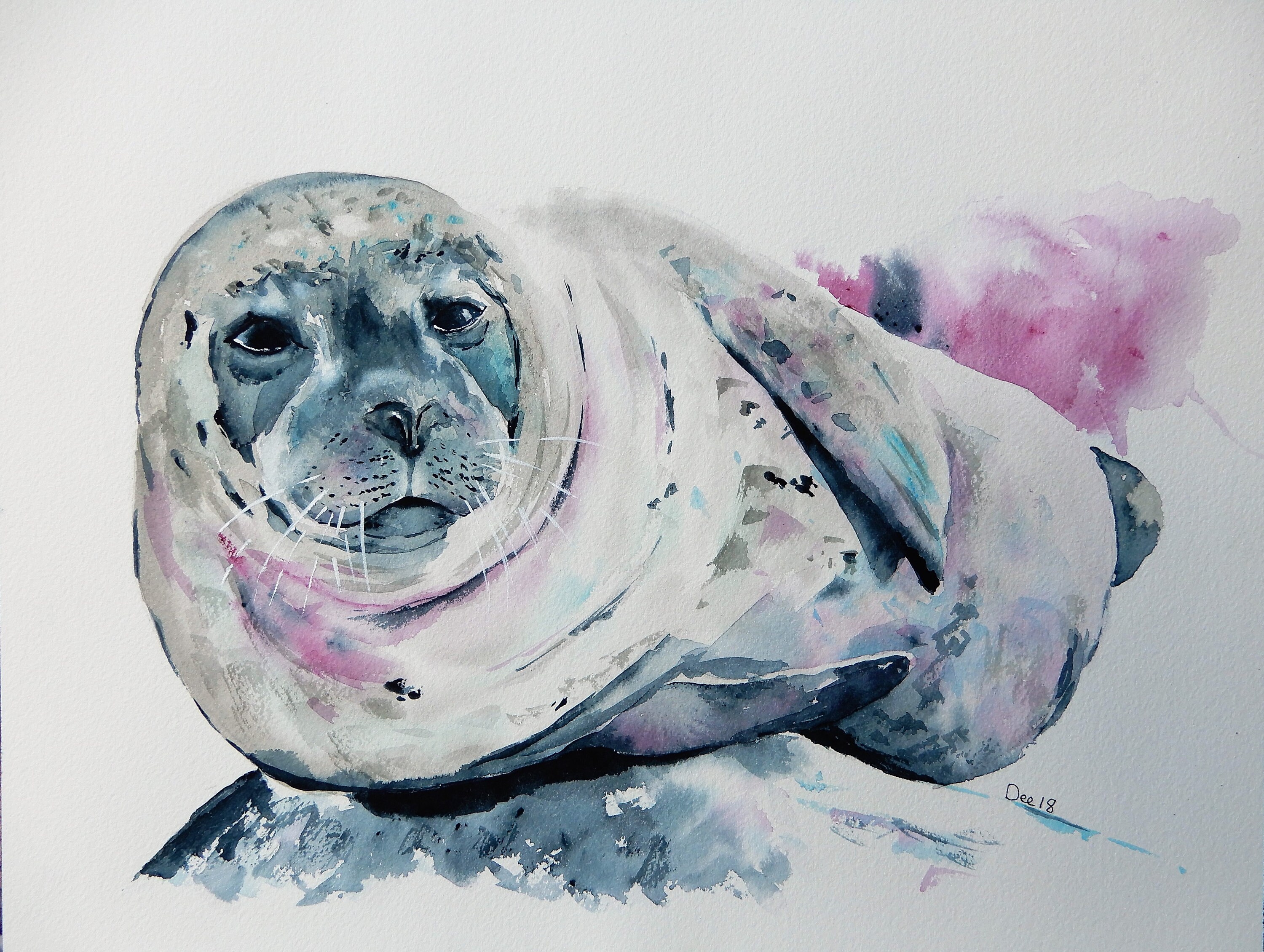 Seal Watercolour Paintingwatercolor Seal Art Seal Poster Etsy UK
