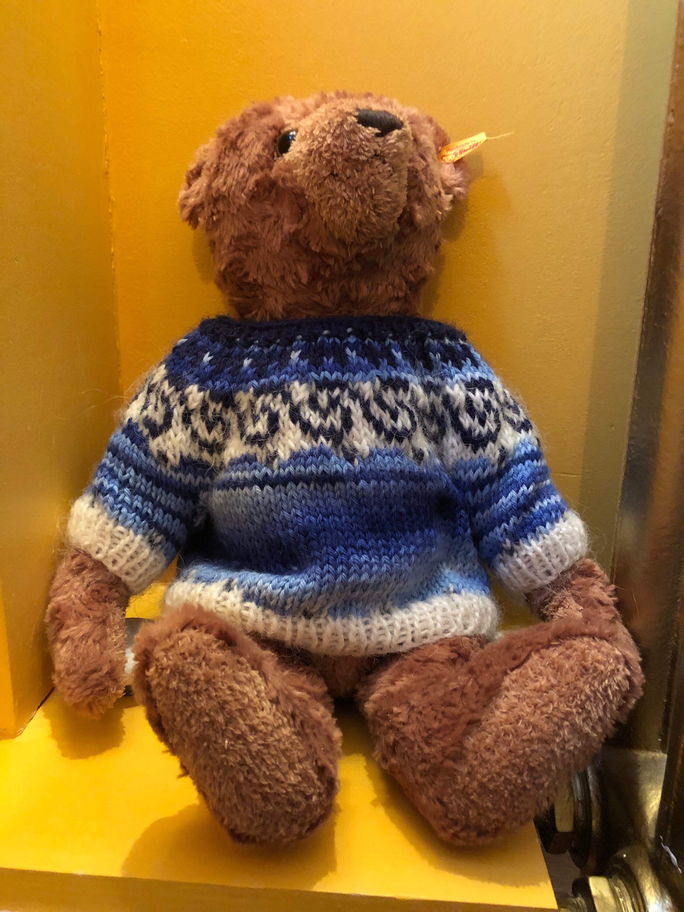 teddy sweater canada